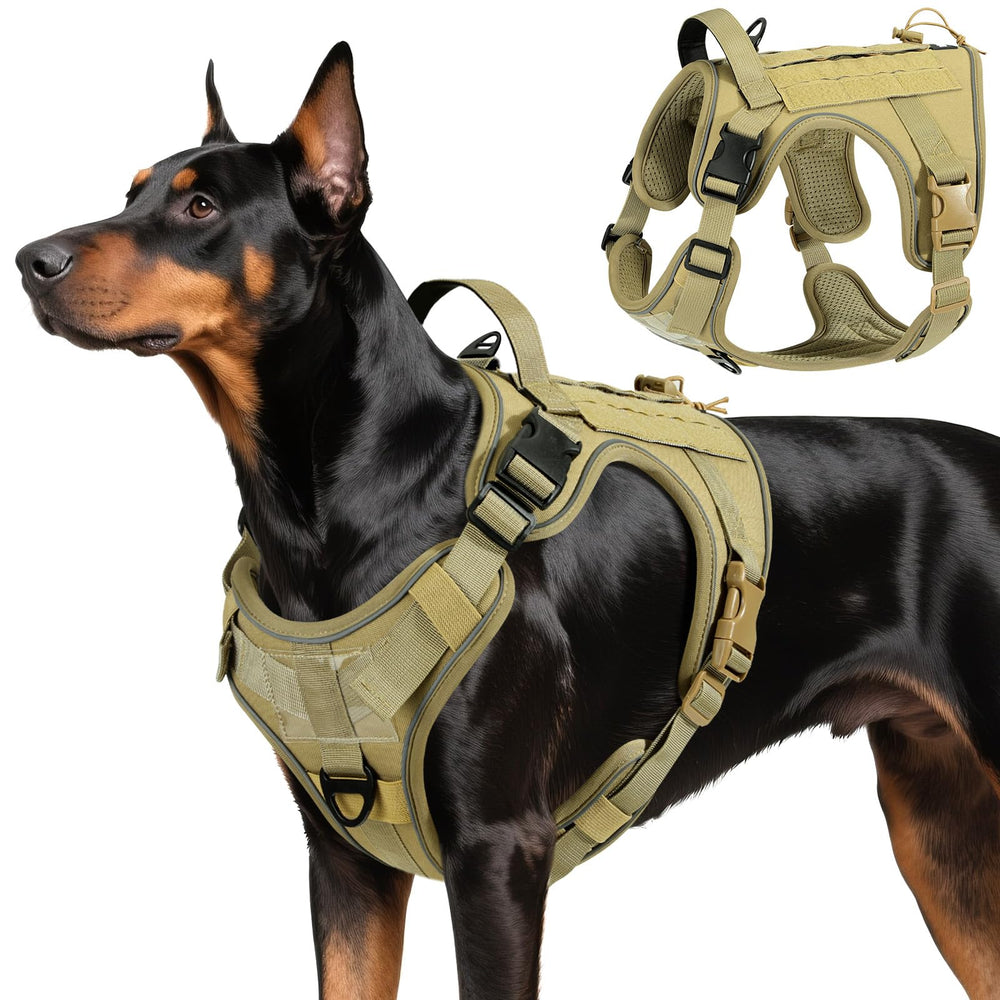 Cinturón táctico VavoPaw para perros grandes, cómodo y resistente para actividades diarias.