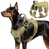 Cinturón táctico VavoPaw para perros grandes, cómodo y resistente para actividades diarias.