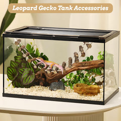 VCEPJH escalera para reptiles facilita el acceso entre plataformas