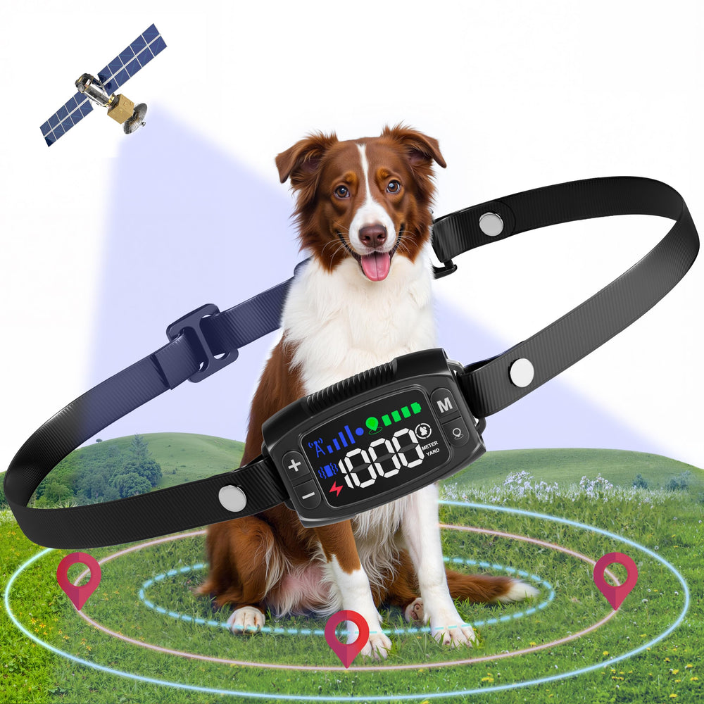 Veconix collar GPS inalámbrico en acción para perros con precisión