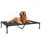 Cama Veehoo para perro elevada, ideal para interior y exterior, favorece flujo de aire