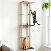 Rascador de pared Veehoo de 57 pulgadas para gatos, ideal para trepar y rascar.