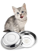 Cuenco Vention para gato, poco profundo, diámetro 6,6 pulgadas, reduce la fatiga de bigotes.