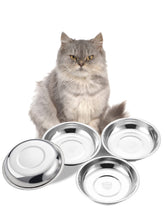 Boles VENTION para gatos medianos y rasos, conjunto de cuatro, comodidad diaria al comer.