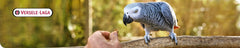VL Goldenfeast Amazon Blend, uso diario en jaula para aves Amazon.
