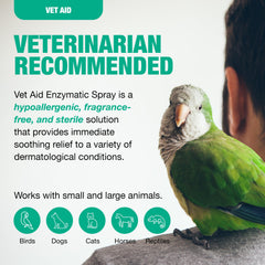 Vet Aid para dermatitis húmeda: ayuda suave para la piel de mascotas.