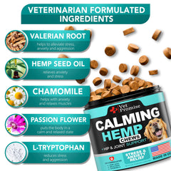 Vet Promise masticables calmantes para perro sentado, favorecen la relajación.