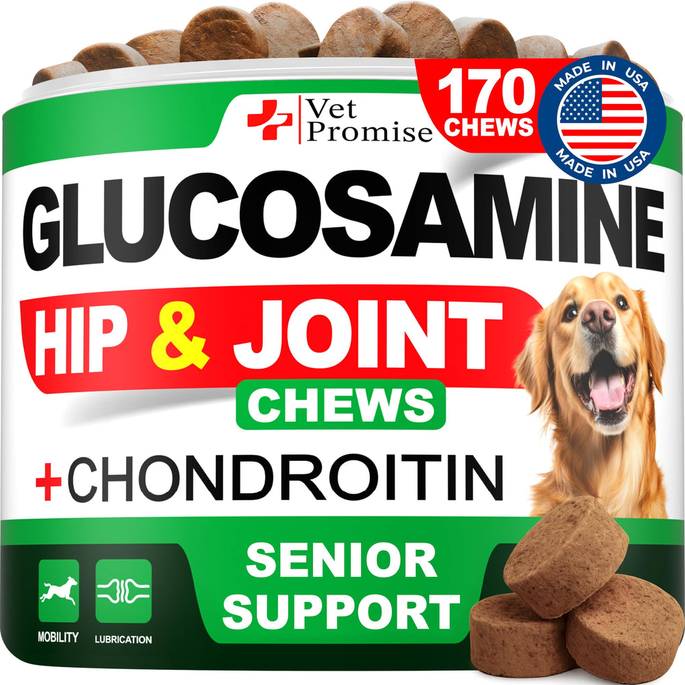 Vet Promise glucosamina para perros: masticables de 170 unidades, empaque práctico para movilidad diaria.