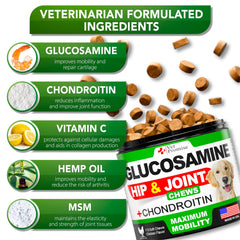 Vet Promise Glucosamina para perros, masticables mostrados en mano para tamaño y dosis simplificada.