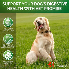 Vet Promise probióticos para perro, frasco hecho en EE. UU. y fórmula veterinaria.