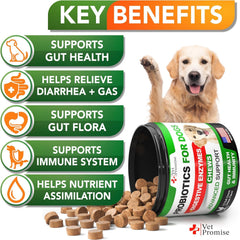 Vet Promise probióticos para perros: bocados que apoyan el sistema digestivo