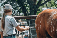 Vetericyn champú espumoso para caballos, pelaje sano y manejable tras cada lavado.
