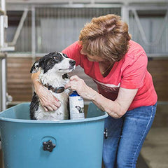 Cuidado de piel sensible con FoamCare, fórmula suave para irritaciones en perros y gatos.