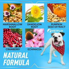 Empaque en caja Vetflix, hecho en EE. UU. con ingredientes naturales.
