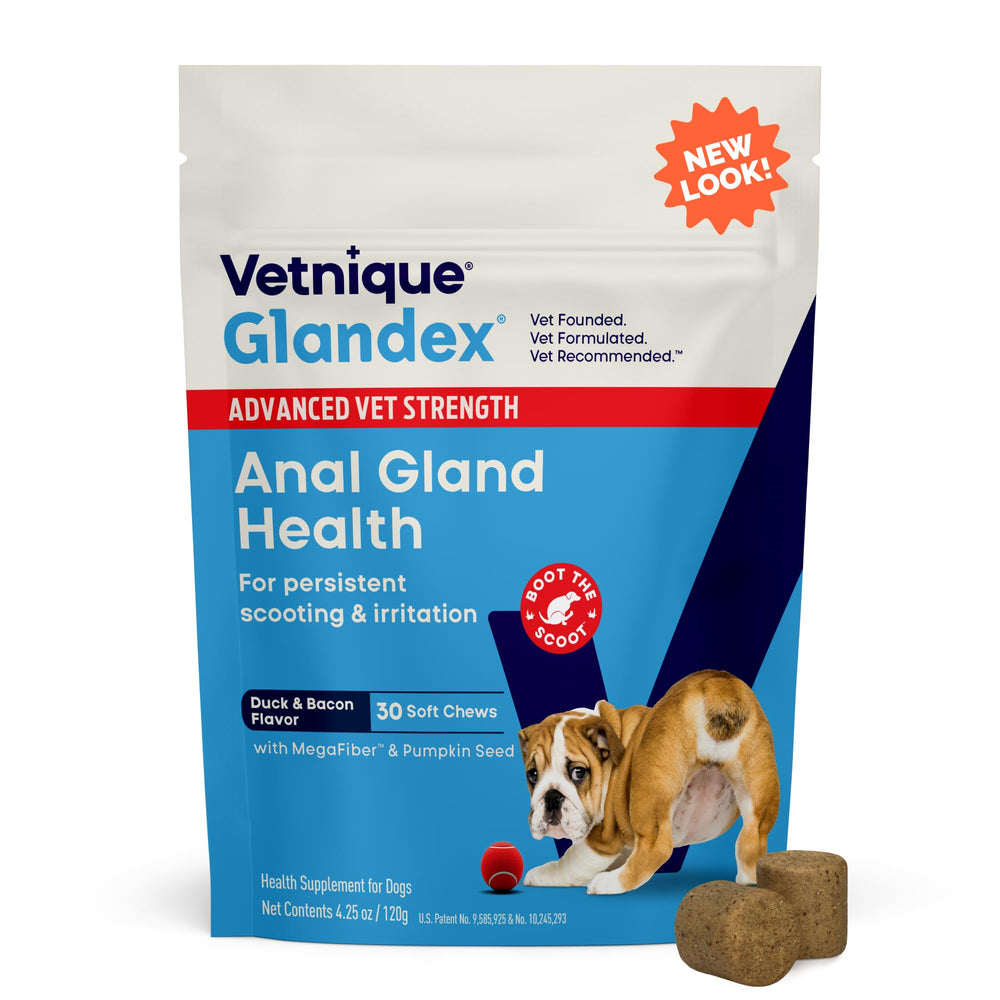 Vetnique Glandex: empaque en primer plano para glándulas y digestión