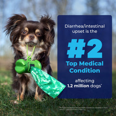 Glandex: enzimas digestivas y probióticos para la microbiota intestinal de tu perro.