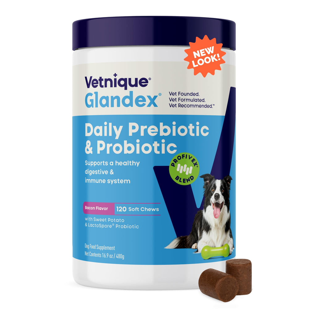 Glandex de Vetnique, masticables sabor bacon para perros que apoyan la salud intestinal diaria.