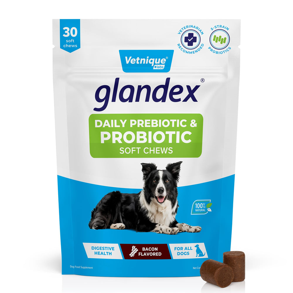 Vetnique Glandex probióticos para perros con sabor bacon, masticables para apoyar la salud intestinal