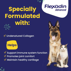 Vetoquinol Flexadin para articulaciones de perros, complemento suave y fácil de masticar.