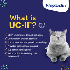 Vetoquinol Flexadin Gato contiene UC-II, ingrediente para articulaciones.