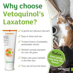 Vetoquinol Laxatone aplicación diaria en nariz o patas del gato.