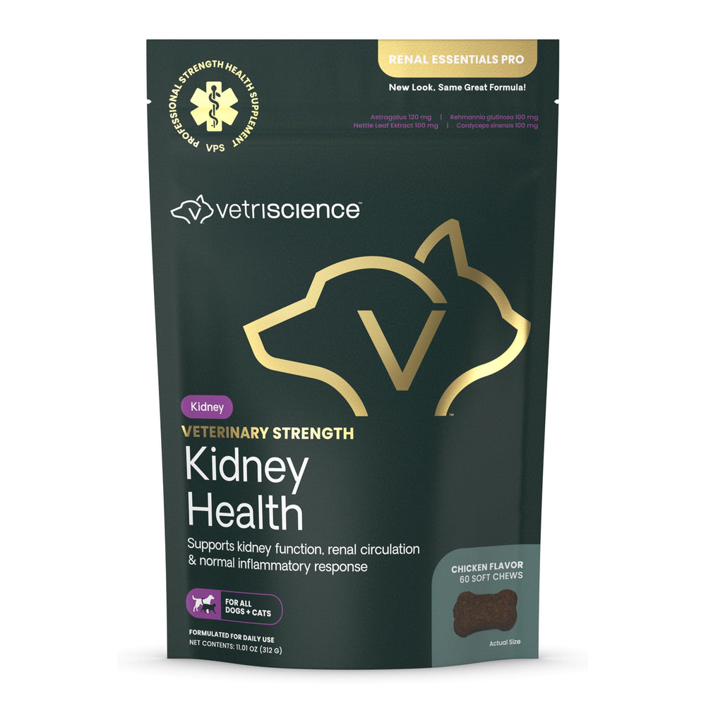 VETRISCIENCE masticables de salud renal en frasco, posible apoyo renal para mascotas.