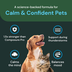 Imagen de extracto de melisa, ingrediente calmante para mascotas VetriScience Max.