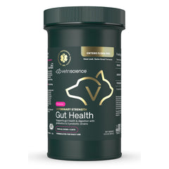 VetriScience polvo salud intestinal para mascotas, apoyo digestivo suave