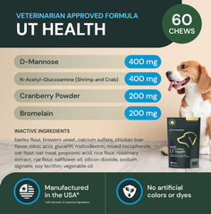 Tabletas masticables VetriScience UT Health Chews en la mano de un dueño