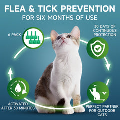 Aplicación fácil de VICSOM en gatos, sin complicaciones.