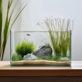 Acuario Vimvins de 10 galones, vista clara sin marco para un salón ordenado.