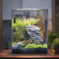 Pecera Vimvins de cinco galones para betta y plantas en espacios pequeños.
