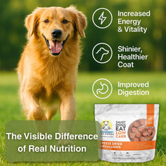 Visionary Pet Foods, opción apta para diabéticos con pollo real.