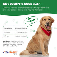 Vitamatic Melatonina para perros: caja con dos paquetes para viajes tranquilos