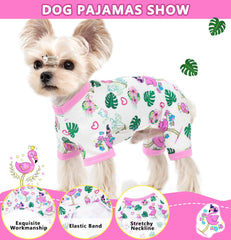 Diseño Viunimo fácil de poner con apertura en espalda para mascotas