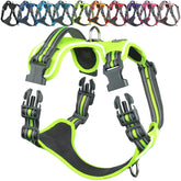 VIVAGLORY EaseWalk con enganche frontal para corregir tirones en paseos