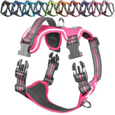 Arnés VIVAGLORY EaseWalk con clip frontal para entrenar caminatas sin tirones.