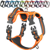 Arnés VIVAGLORY EaseWalk con gancho frontal para entrenamiento y control suave.