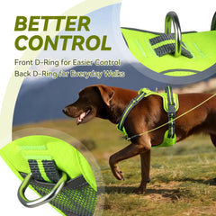 VIVAGLORY EaseWalk con enganche trasero para caminatas diarias