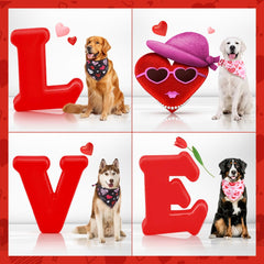 Bandana Vivifying talla grande para perro, diámetro 20 pulgadas, ideal para paseos