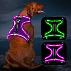 Vizbrite arnés iluminado para perro mejora visibilidad nocturna durante paseos