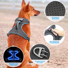Vizbrite arnés para perro azul grande, trasero: control suave y sin tirones.