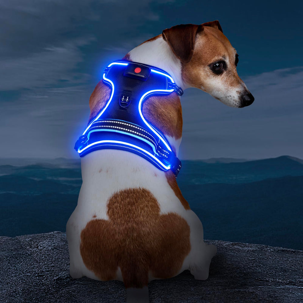Arnés Vizbrite para perros, vista frontal con clip para seguridad nocturna