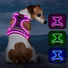 Vizbrite arnés luminoso frontal para paseos nocturnos