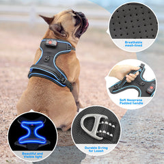 Vizbrite arnés con manija trasera para control durante caminatas