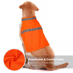 Chaqueta Vizbrite para perros, cierres y ajuste fácil para comodidad diaria.