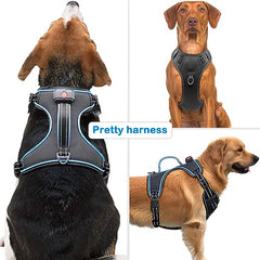 Vizbrite arnés con asa trasera suave para paseos cómodos.