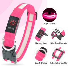 Collar Vizpet LED se recarga por USB sin necesidad de baterías