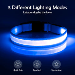 Vizpet collar LED con carga por USB para uso diario