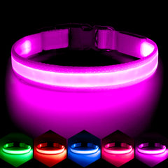 Collar LED Vizpet ajustable para perros, ideal para paseos diarios.